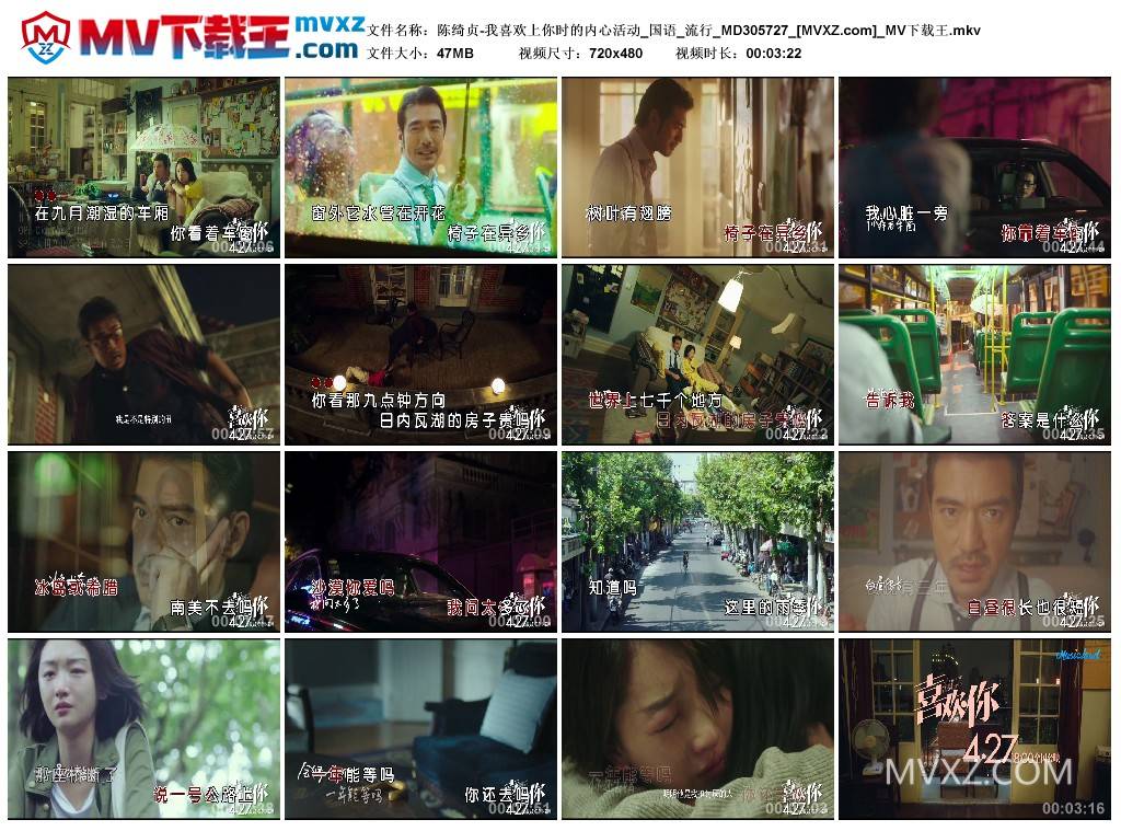 陈绮贞-我喜欢上你时的内心活动_国语_流行_MD305727